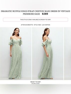 After Six Vintage Primrose Sage Off-Shoulder Ruffle Chiffon Maxi